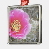 Verenigde Staten, Utah, Canyonlands NP, Duurzame P Metalen Ornament (Links)