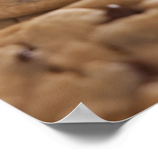 Verenigde Staten, Utah, Lehi, chocolade koekjes Poster (Hoek)