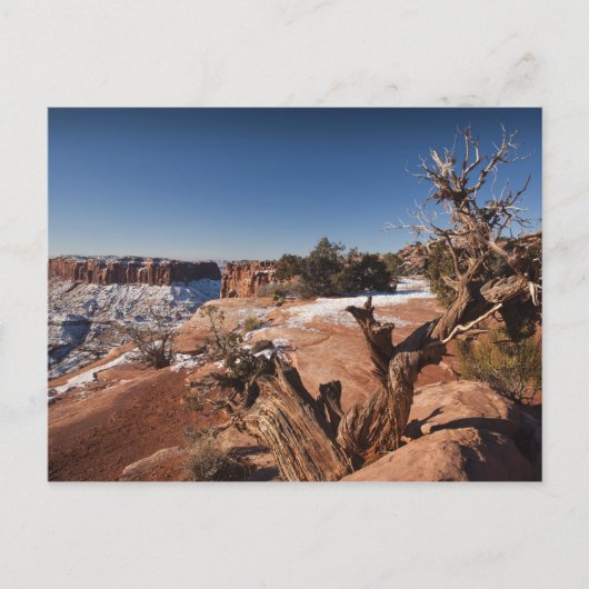 Verenigde Staten, Utah, Moab. Nationaal Park Canyo Briefkaart (Voorkant)