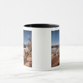 Verenigde Staten, Utah, Moab. Nationaal Park Canyo Mok (Midden)