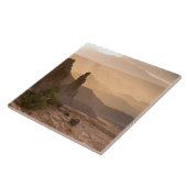 Verenigde Staten; Utah; Nationaal Park Canyonlands Tegeltje (Zijkant)