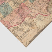Verenigde Staten van Amerika 8 Tissuepapier (Detail)