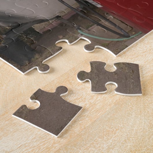 Verenigde Staten van Amerika, Arizona, Bisbee: Sha Legpuzzel (Zijkant)