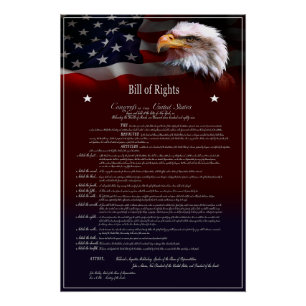 Verenigde Staten van Amerika BILL of Rights Perfect Poster