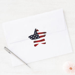 VERENIGDE STATEN VAN AMERIKA KAART EN VLAG STER STICKER