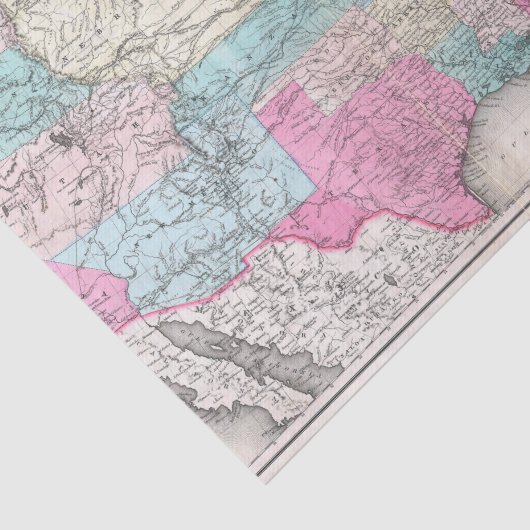  Verenigde Staten van Amerika Map (1857) Tissuepapier (Detail)