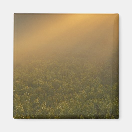 Verenigde Staten van Amerika, Michigan, Meadow of Magneet (Voorkant)