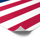 Verenigde Staten van Amerika Poster (Hoek)