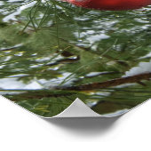 Verenigde Staten van Amerika, staat Washington, pr Poster (Hoek)