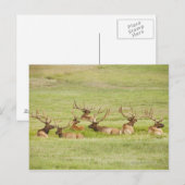 Verenigde Staten van Amerika, Utah, groep van stie Briefkaart (Voorkant / Achterkant)