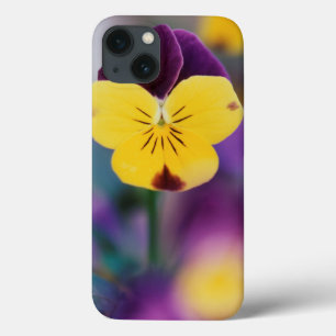 Verenigde Staten van Amerika, Utah, Sluiting van V Case-Mate iPhone Case