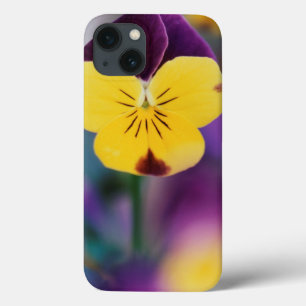 Verenigde Staten van Amerika, Utah, Sluiting van V iPhone 13 Hoesje