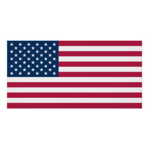 Verenigde Staten van Amerika Vlag van de VS Patrio Perfect Poster