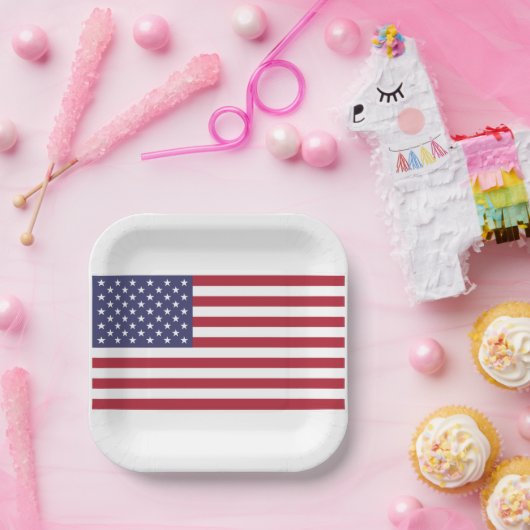 Verenigde Staten van Amerika vlaggen rood wit en b Papieren Bordje (Feest)