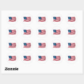 Verenigde Staten van de Aarde Vlag Sticker (Vel)