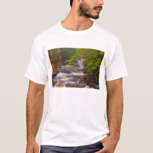 Verenigde Staten, Vermont, Oost-Arlington, stromin T-shirt