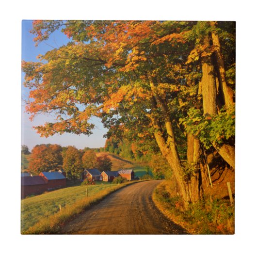 Verenigde Staten, Vermont, South Woodstock Tegeltje (Voorkant)