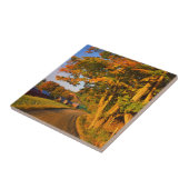 Verenigde Staten, Vermont, South Woodstock Tegeltje (Zijkant)