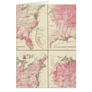 Verenigde Staten-vitaliteitskaarten