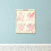 Verenigde Staten-vitaliteitskaarten Canvas Afdruk (Insitu (Houten vloer))