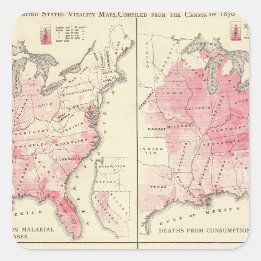 Verenigde Staten-vitaliteitskaarten Vierkante Sticker (Voorkant)