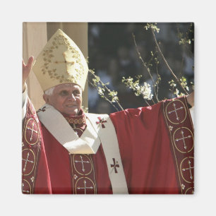 Verenigde Staten, Washington, D.C. Paus Benedictus Magneet