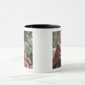 Verenigde Staten, Washington, D.C. Pope Benedict Mok (Midden)