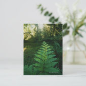 Verenigde Staten, Washington, Olympia National Par Briefkaart (Staand voorkant)