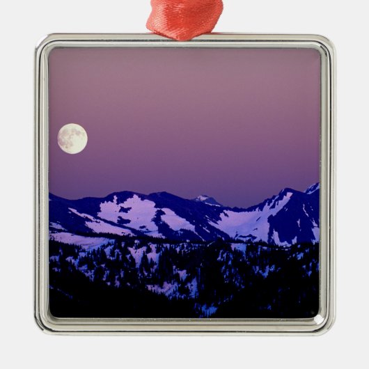 Verenigde Staten, Washington, Port Angeles, Olympi Metalen Ornament (Voorkant)