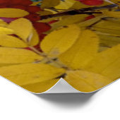 Verenigde Staten, Washington, Westerne bergas, Oka Poster (Hoek)