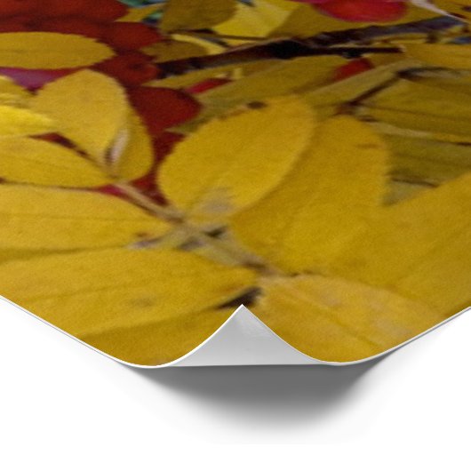 Verenigde Staten, Washington, Westerne bergas, Oka Poster (Hoek)