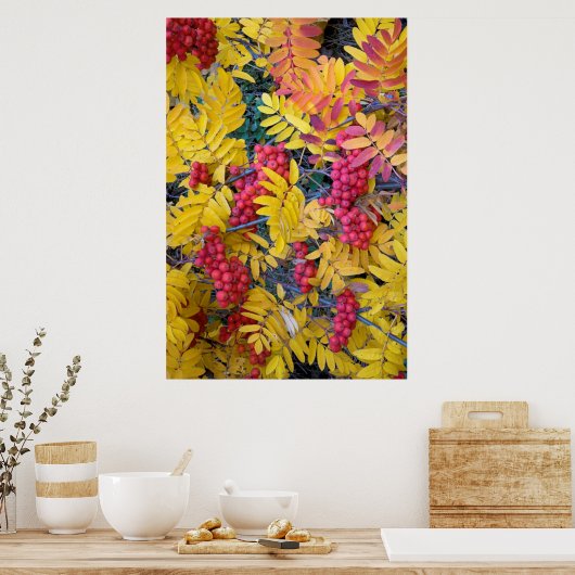 Verenigde Staten, Washington, Westerne bergas, Oka Poster (Keuken)