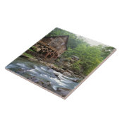 Verenigde Staten, West Virginia, Babcock SP. Rusti Tegeltje (Zijkant)