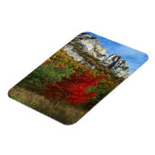 Verenigde Staten, West-Virginia, Spruce Knob-Senec Magneet (Linkerzijde)