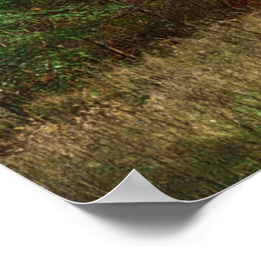 Verenigde Staten, West-Virginia, Spruce Knob-Senec Poster (Hoek)