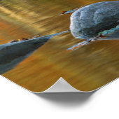 Verenigde Staten, West-Virginia, Spruce Knob-Senec Poster (Hoek)