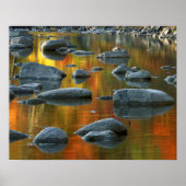 Verenigde Staten, West-Virginia, Spruce Knob-Senec Poster (Voorkant)