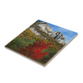 Verenigde Staten, West-Virginia, Spruce Knob-Senec Tegeltje (Zijkant)