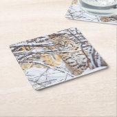 Verenigde Staten, Wyoming, Bobcat Kartonnen Onderzetters (Schuin)