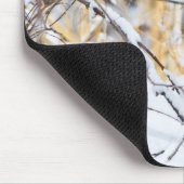 Verenigde Staten, Wyoming, Bobcat Muismat (Hoek)