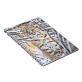 Verenigde Staten, Wyoming, Bobcat Notitieboek (Rechterzijde)