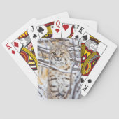 Verenigde Staten, Wyoming, Bobcat Pokerkaarten (Achterkant)
