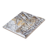 Verenigde Staten, Wyoming, Bobcat Tegeltje (Zijkant)