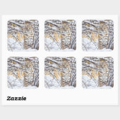 Verenigde Staten, Wyoming, Bobcat Vierkante Sticker (Vel)