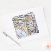 Verenigde Staten, Wyoming, Bobcat Vierkante Sticker (Envelop)