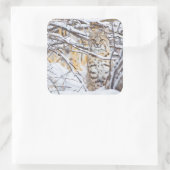 Verenigde Staten, Wyoming, Bobcat Vierkante Sticker (Tas)