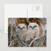 Verenigde Staten, Wyoming, Grand Teton National Pa Briefkaart (Voorkant / Achterkant)