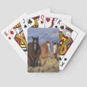 Verenigde Staten, Wyoming, in de buurt van Cody Gr Pokerkaarten (Achterkant)