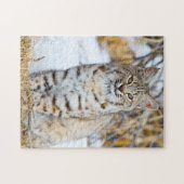 Verenigde Staten, Wyoming, Portret van Bobcat Legpuzzel (Horizontaal)