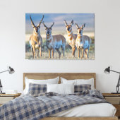 Verenigde Staten, Wyoming, Vier Pronghorn-antipiek Canvas Afdruk (Insitu (Slaapkamer))